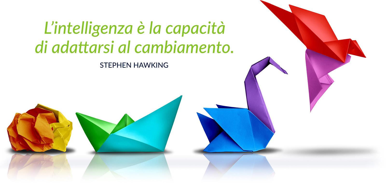 L'intelligenza è la capacità di adattarsi al cambiamento. Stephen Hawking